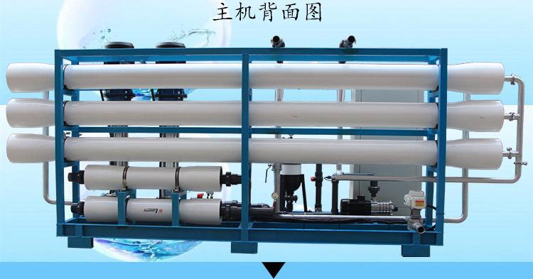苦咸水除盐饮用ro反渗透水处理设备 7吨/小时全自动海水淡化系统